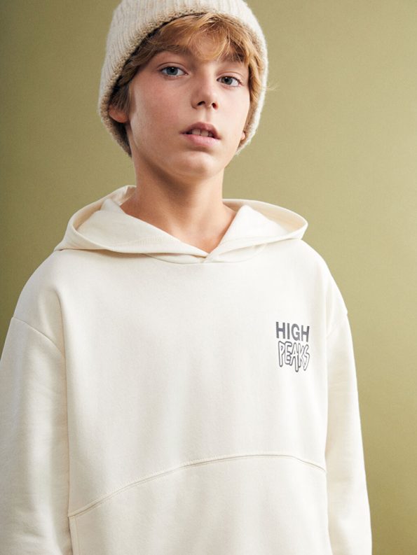 LCW Kids Beige Hooded Printed Boys Sweatshirt