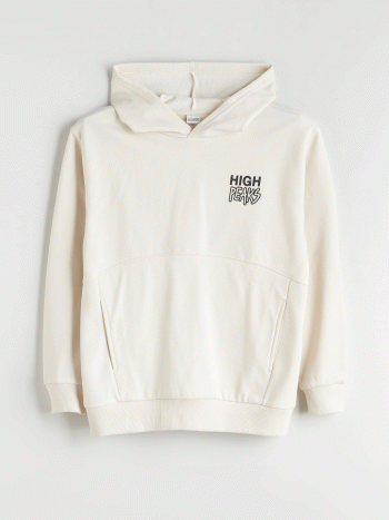 LCW Kids Beige Hooded Printed Boys Sweatshirt