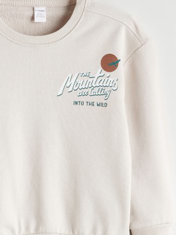 Boys' Printed Crew Neck Sweatshirt and Jogger Set