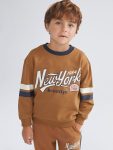 LCW Kids Brown Crew Neck Printed Long Sleeve Sweatshirt for Boys