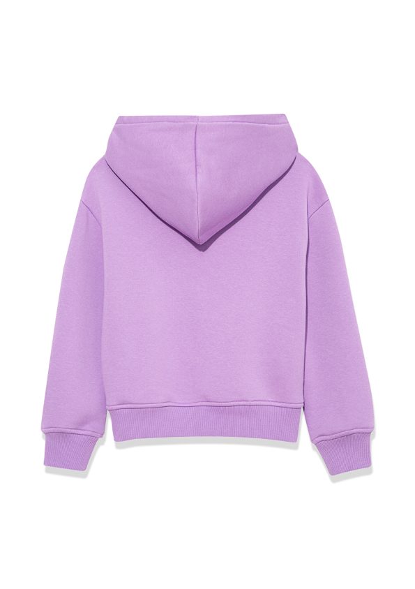 Purple Hoodie with Mavi Logo Print