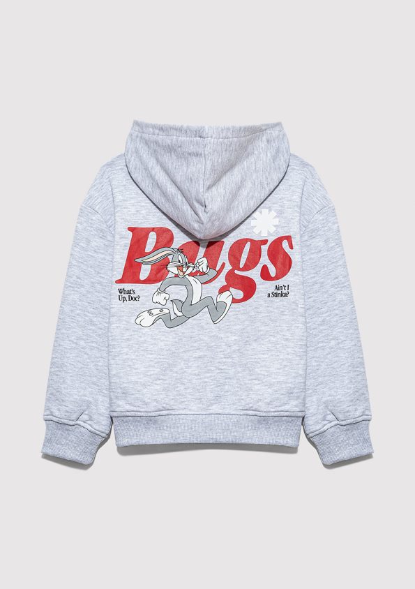 Gray Sweatshirt