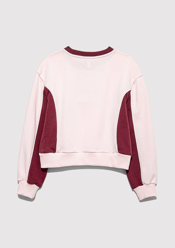 Pink Sweatshirt