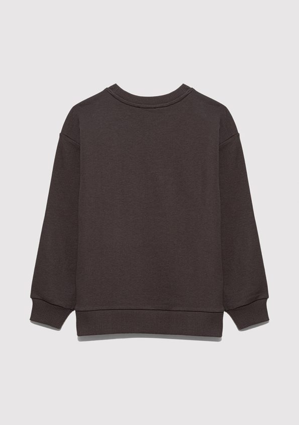 MV Printed Brown Sweatshirt