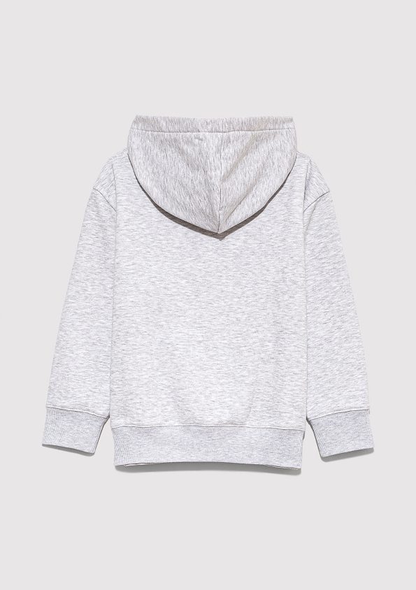 Gray Sweatshirt