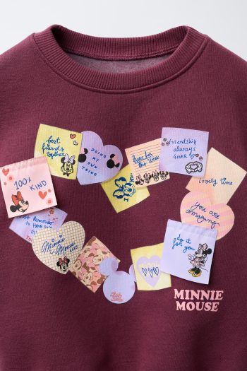 Minnie Mouse and Friends Sweatshirt