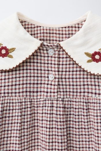 Check Textured Dress with Embroidered Collar