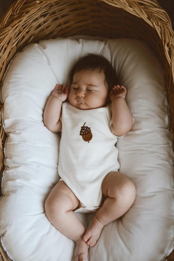 OhlalaKoala Set of 3 Embroidered Snap Bodysuits Model 1