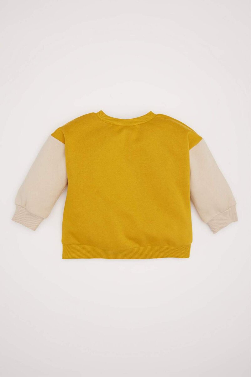1_org_zoom-1434.jpg Boys' Printed Sweatshirt with Soft Lining