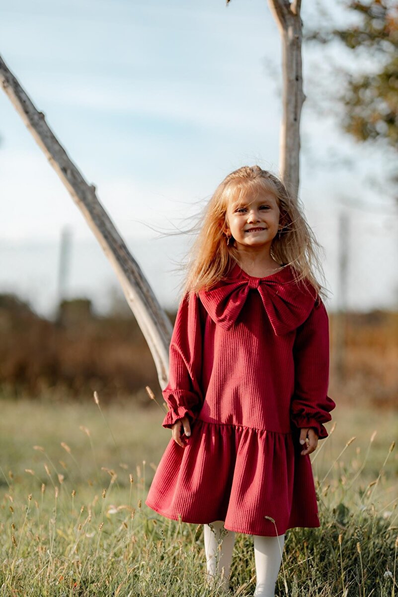 1_org_zoom-1505.jpg Red Dress with Big Bow for Girls
