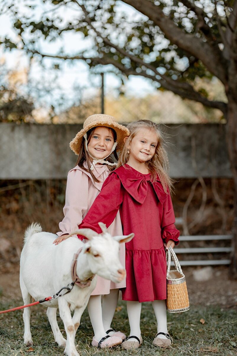 1_org_zoom-1506.jpg Red Dress with Big Bow for Girls