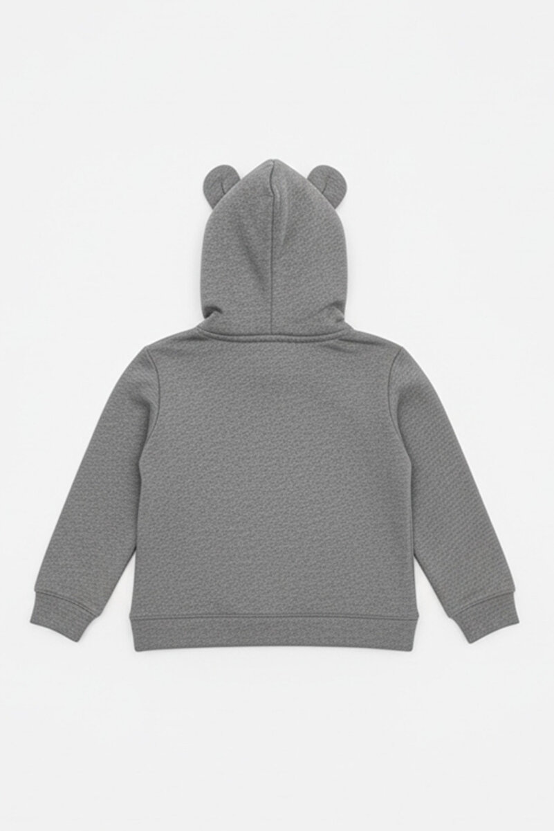 1_org_zoom-1768.jpg LUESS Boys' Bear Eared Cotton Gray Hoodie Sweatshirt