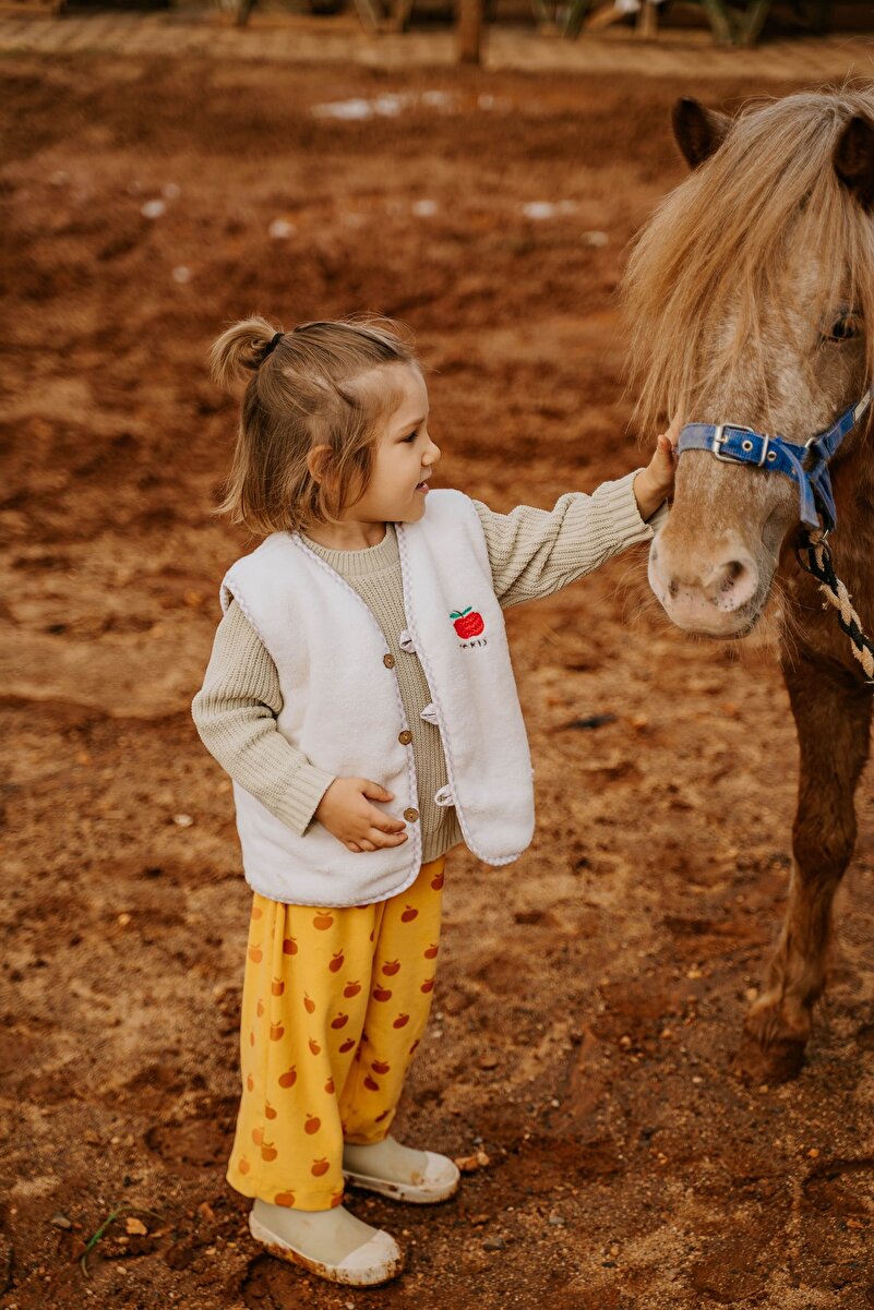 1_org_zoom-1777.jpg Kirazkids Petit Paris Apple Embroidered Cream Vest
