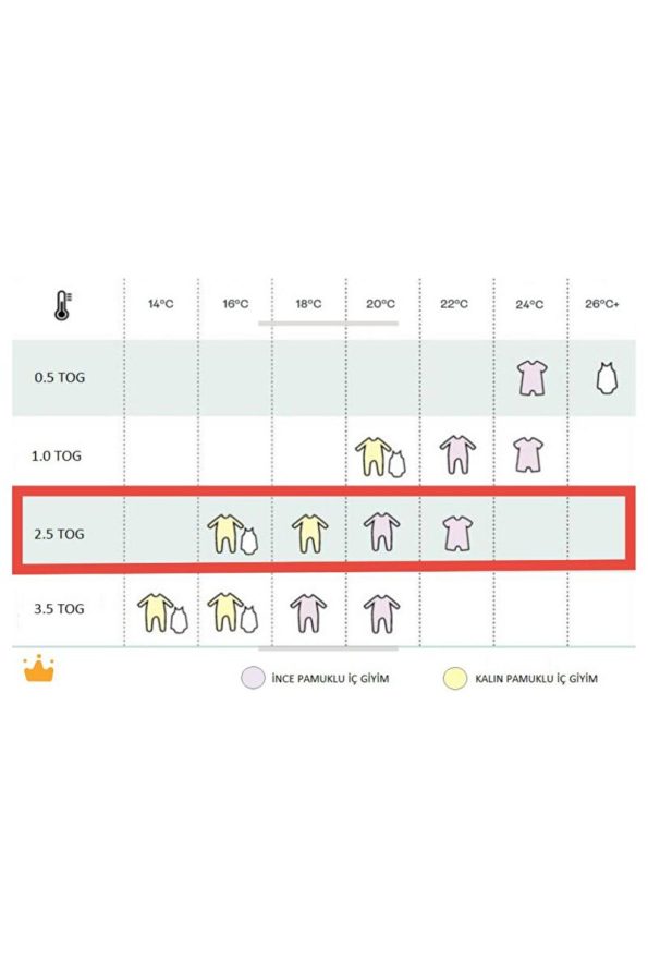 Begisa Premium Quality Children’s Sleeping Bag 2.5 Tog for Ages 2-8