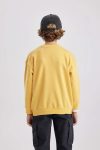 1_org_zoom-672.jpg