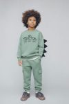 Boys' Cotton Green Dinosaur Print 3D Back Detail Sweatshirt & Cargo Pants Set