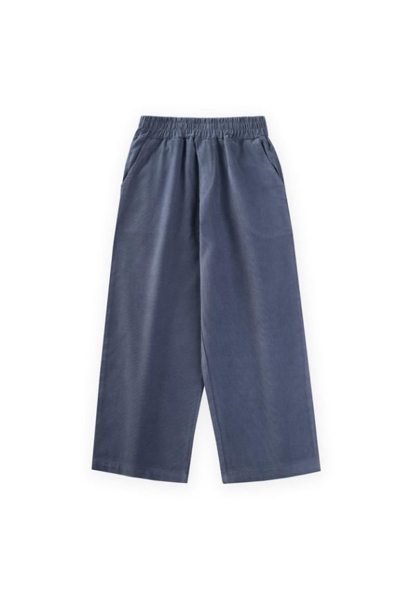 Velvet Pants for Ages 4-12 in Navy