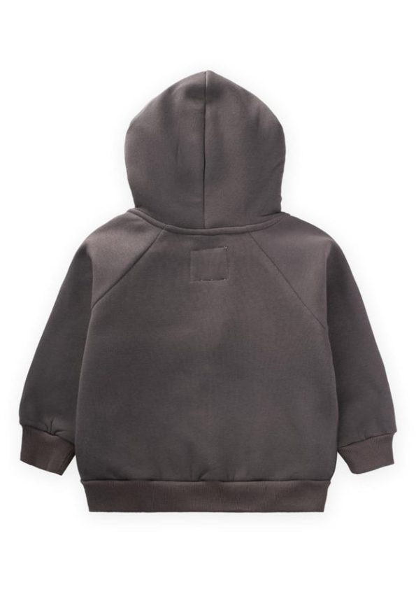 Hooded Zippered Cardigan for Ages 1-14 in Anthracite