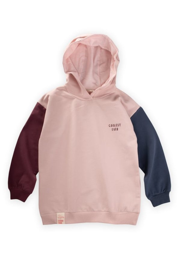 Multicolor Sweatshirt for Ages 5-12 in Powder Pink