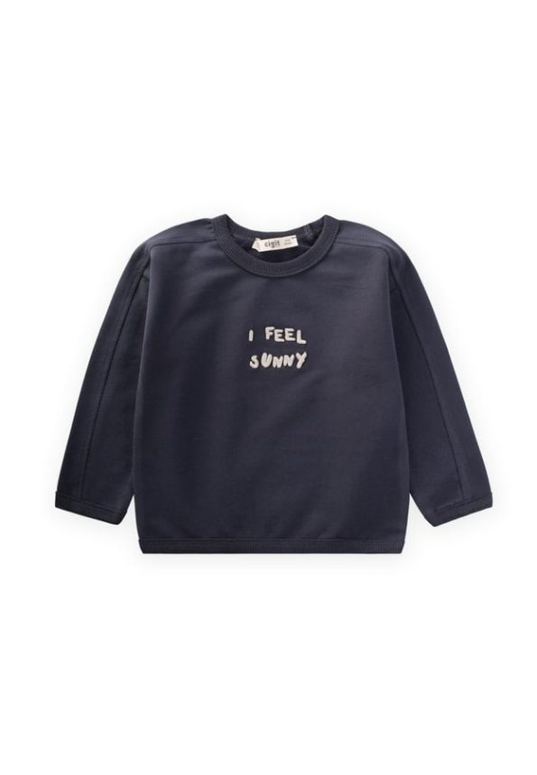 Embroidered Sweatshirt for Ages 1-7 in Anthracite
