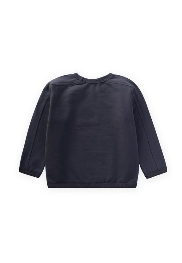 Embroidered Sweatshirt for Ages 1-7 in Anthracite