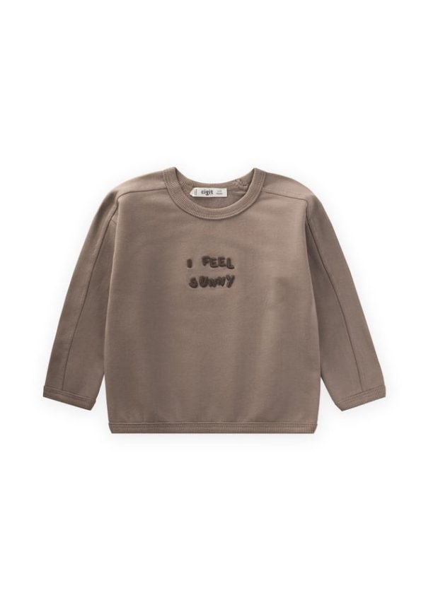 Embroidered Sweatshirt for Ages 1-7 in Taupe