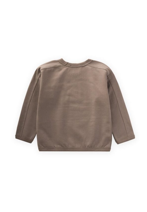Embroidered Sweatshirt for Ages 1-7 in Taupe