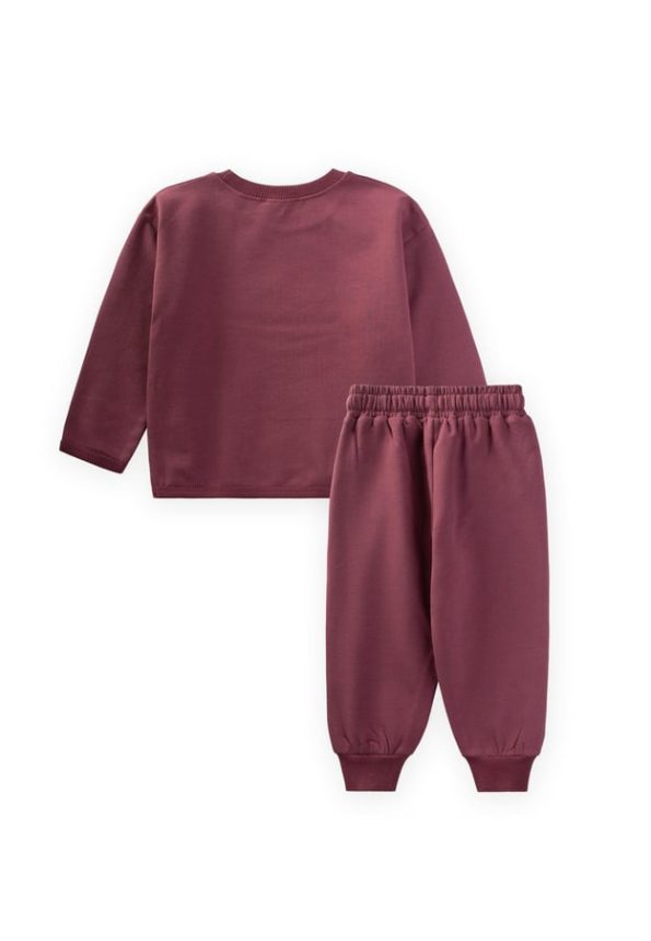 Purple Sweatshirt Set for Ages 1-5