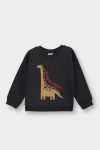 Boys' Soft Fleece Lined Dinosaur Print Crew Neck Sweatshirt