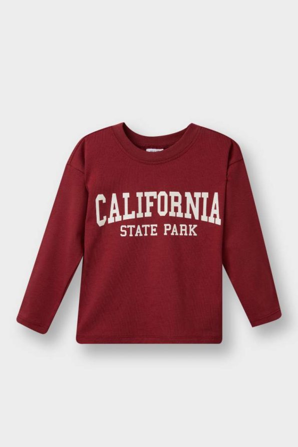 Boys' Printed Crew Neck Long Sleeve T-Shirt Set