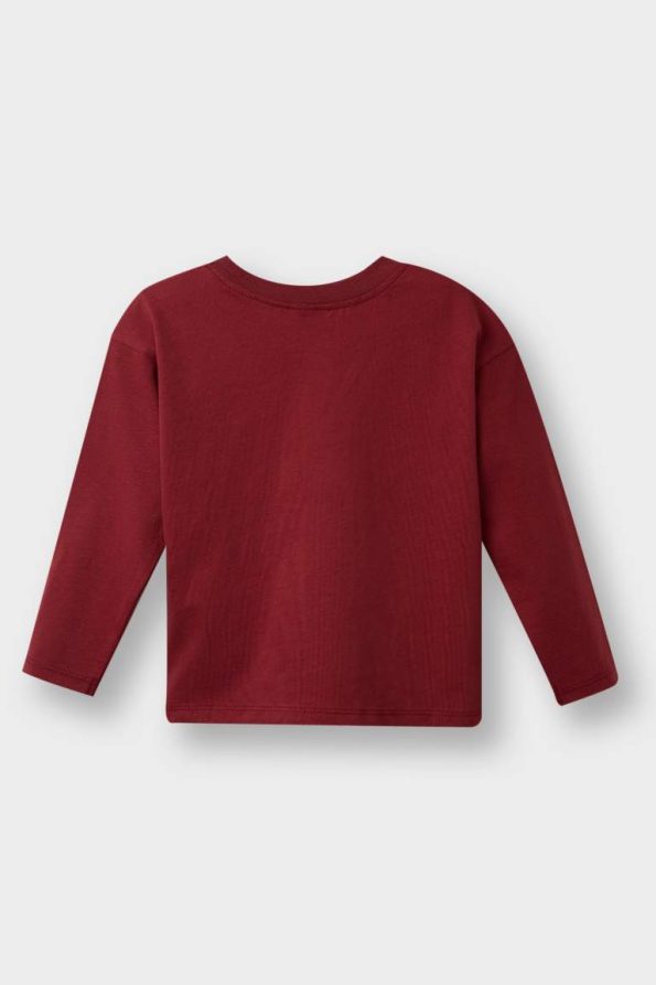 Boys' Printed Crew Neck Long Sleeve T-Shirt Set