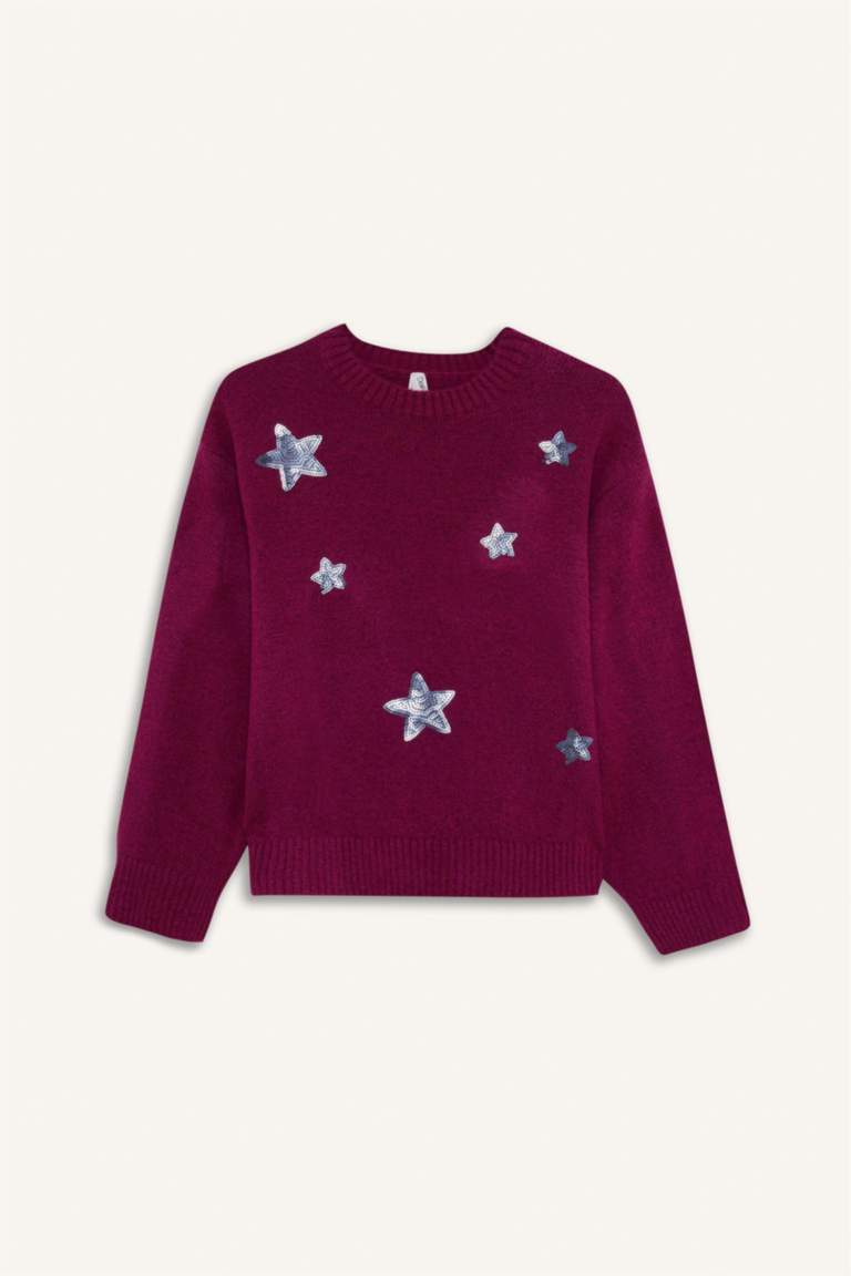 G2145A8_25WN_PN1_04_01.jpg Girls' Embroidered Crew Neck Sweater