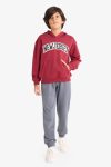Boys' 2-Piece Hoodie Printed Sweatshirt and Sweatpants Set