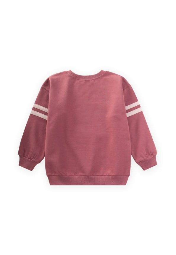 Appliqued Sweatshirt for Ages 3-9 in Dusty Rose