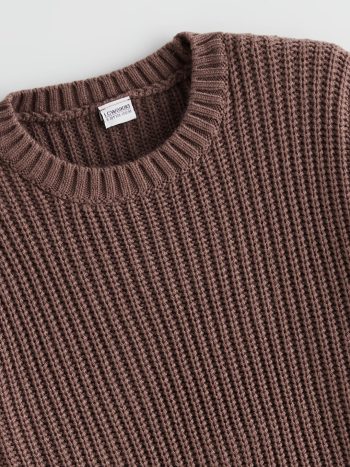 LCW Kids Brown Crew Neck Sweater for Girls