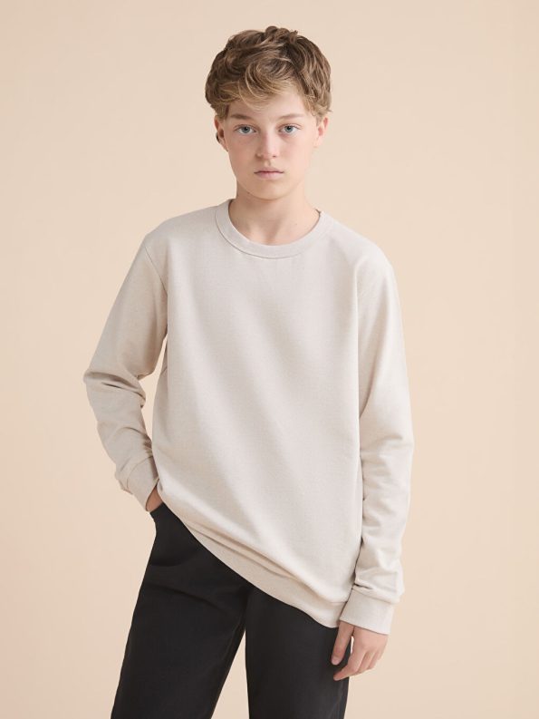 LCW Kids Beige Crew Neck Boys Sweatshirt