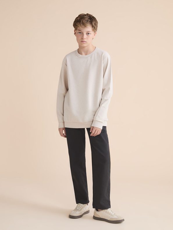 LCW Kids Beige Crew Neck Boys Sweatshirt