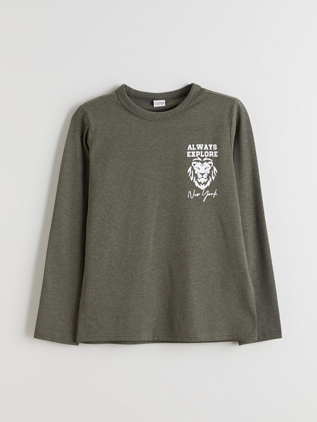 l_20252-w5m210z4-hhq_a.jpg LCW Kids Green Crew Neck Boys T-Shirt