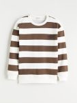 LCW Kids Brown Striped Crew Neck Sweatshirt for Boys