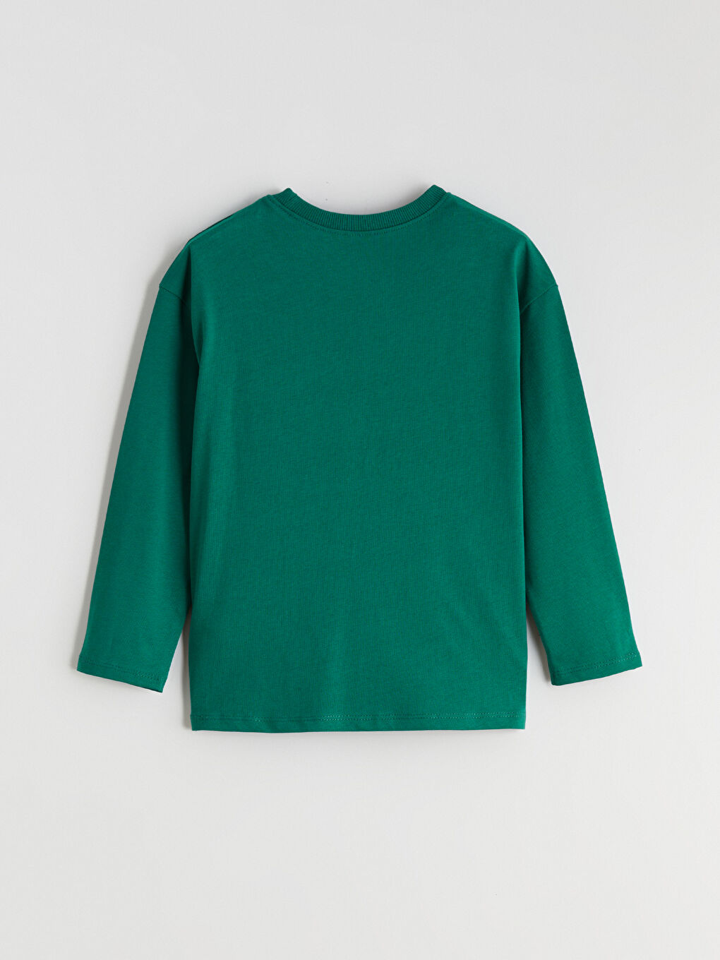 l_20252-w5m770z1-hku_a2.jpg LCW Kids Green Printed Long Sleeve Boys T-Shirt