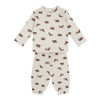 Raccoon Long Sleeve T-Shirt and Pants Set