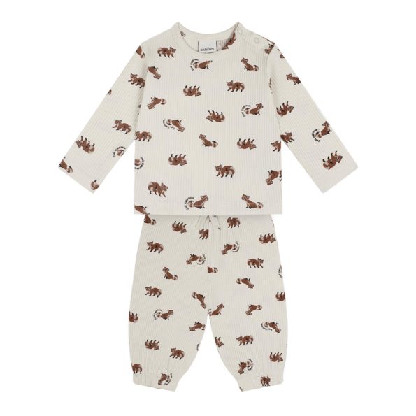 Raccoon Long Sleeve T-Shirt and Pants Set