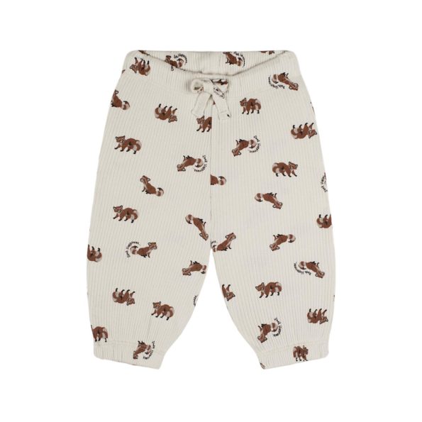 Raccoon Long Sleeve T-Shirt and Pants Set