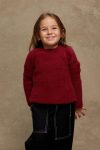 Soft Plush Sweater Red