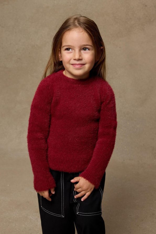 Soft Plush Sweater Red