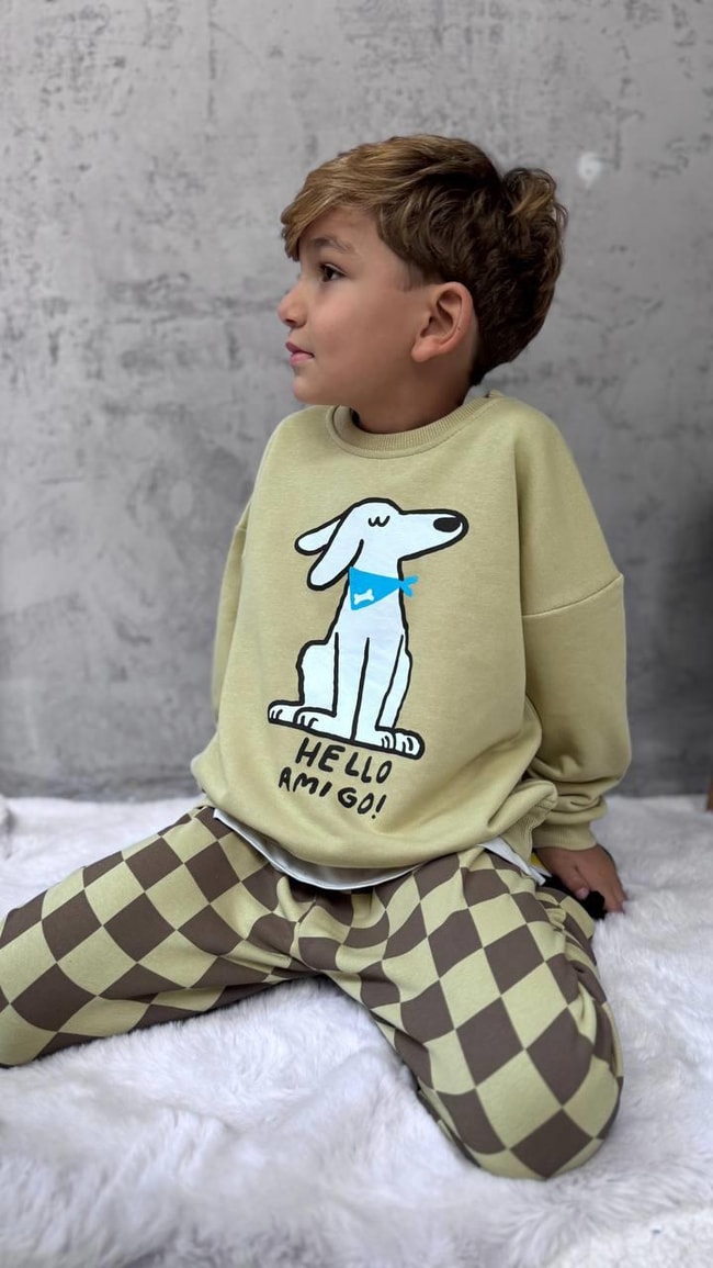 029eb047-8d37-40b2-b0f2-5a9471507ced-674edb.jpeg Boys' Cotton Khaki Dog Print Sweatshirt and Checkered Tracksuit Set