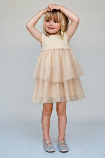 Contrast Tulle Shimmer Dress