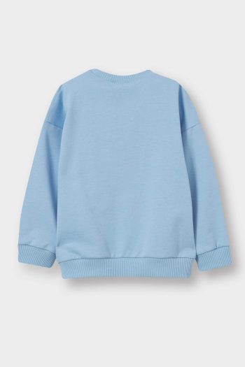 Boys' Basic Crew Neck Sweatshirt
