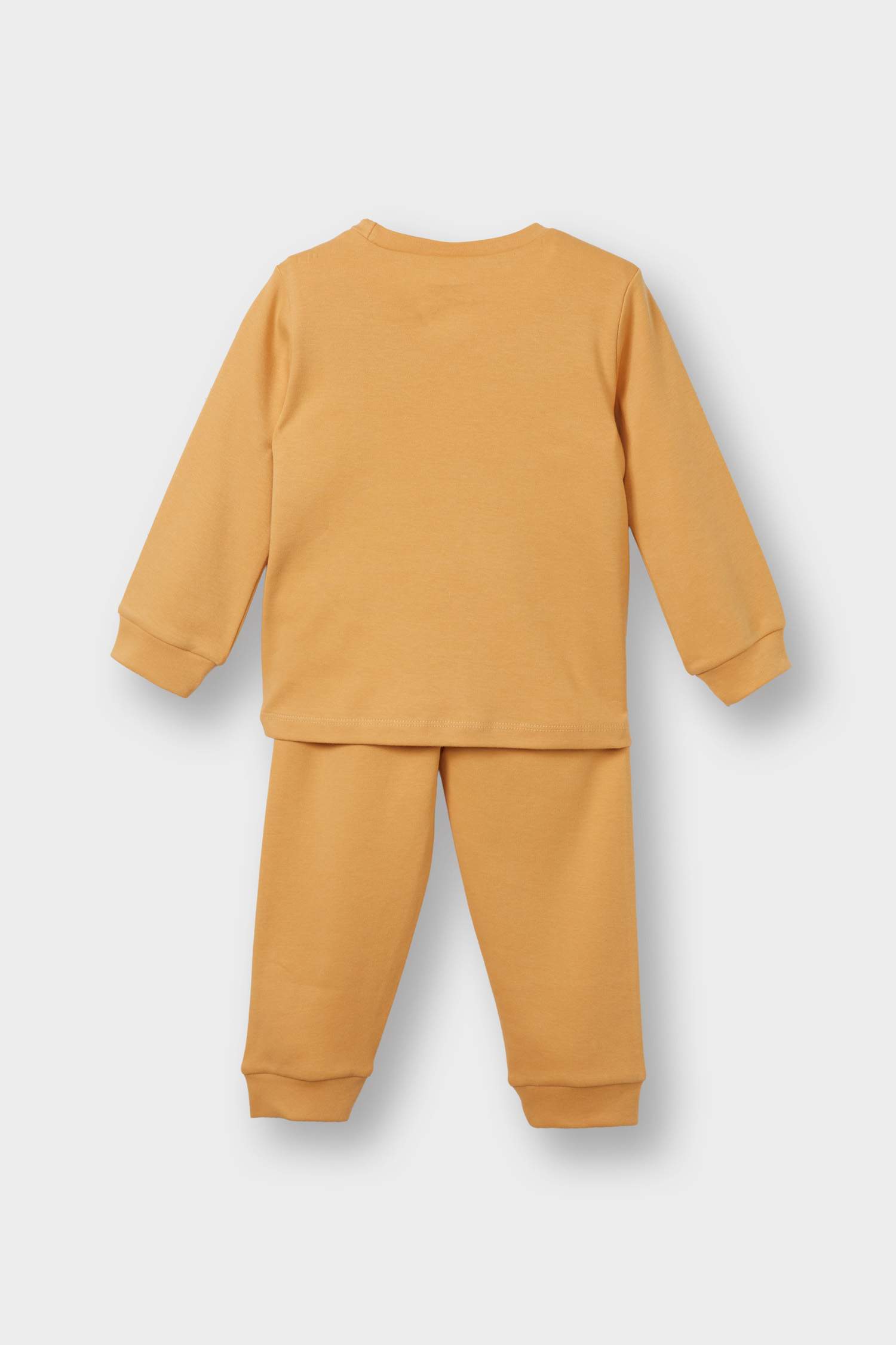 F0551A5_25AU_OG615_04_01.jpg Boys' Pajama Set with Lion Print Long Sleeve Top and Pants