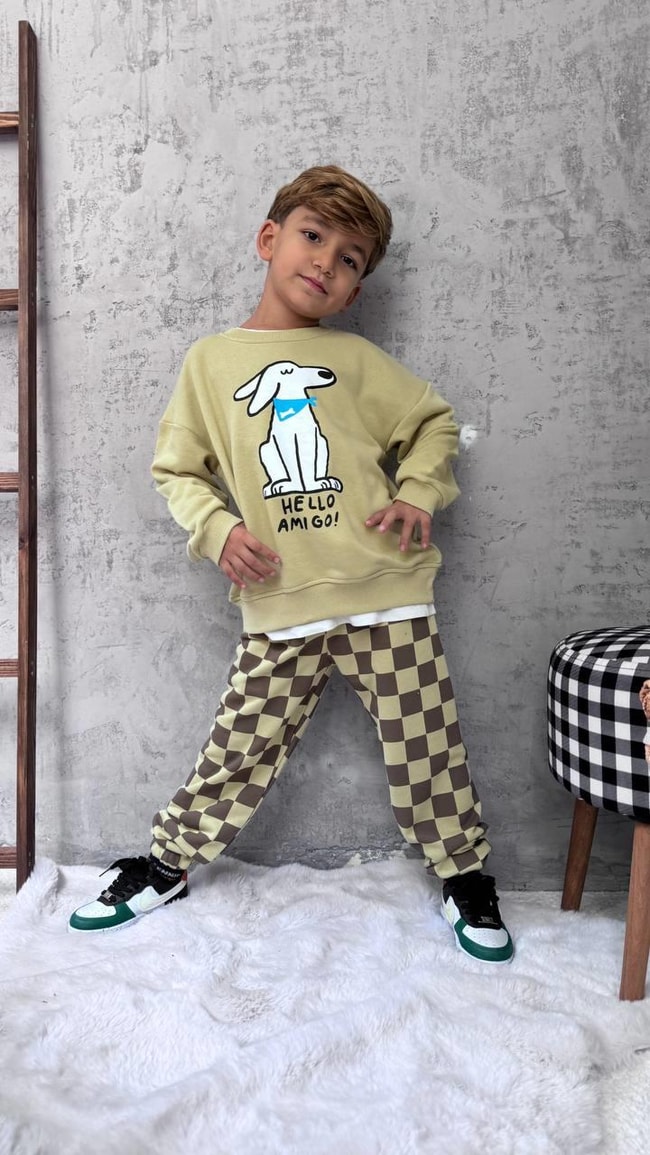 dfa712c3-abbc-456d-838e-03875785fc46-e-4f71.jpeg Boys' Cotton Khaki Dog Print Sweatshirt and Checkered Tracksuit Set